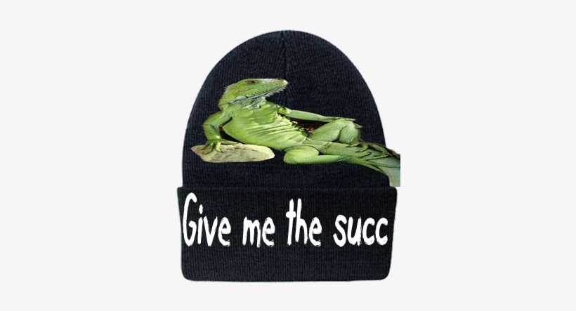 Give Me The Succ - Carolina Anole, transparent png