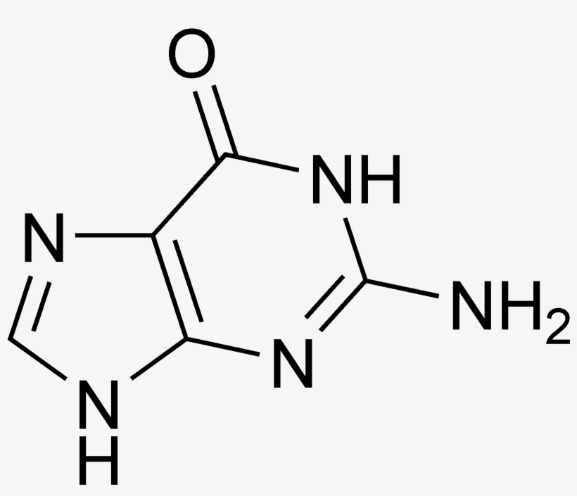 Guanine Chemical Structure - 1 Amino 1 2 3 Triazole, transparent png