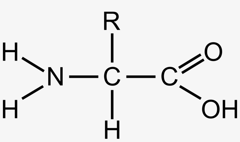 This Free Icons Png Design Of Amino Acid, transparent png