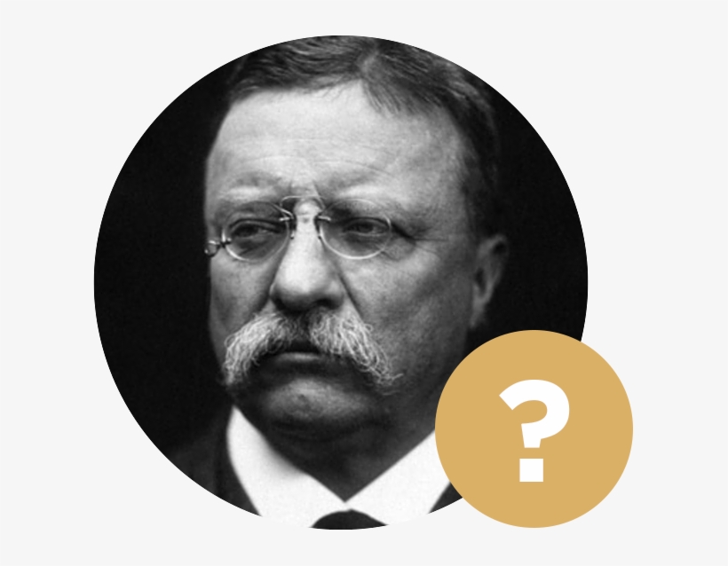 Epa - Theodore Roosevelt Quotes Keep Your Eyes, transparent png