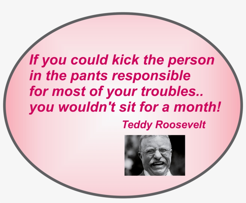 0 Replies 1 Retweet 1 Like - Words And Wisdom Of Teddy Roosevelt [book], transparent png