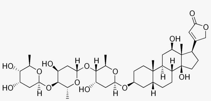 Lets - Methyldigoxin, transparent png