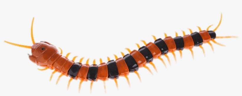 Download - Radio-controlled Car, transparent png