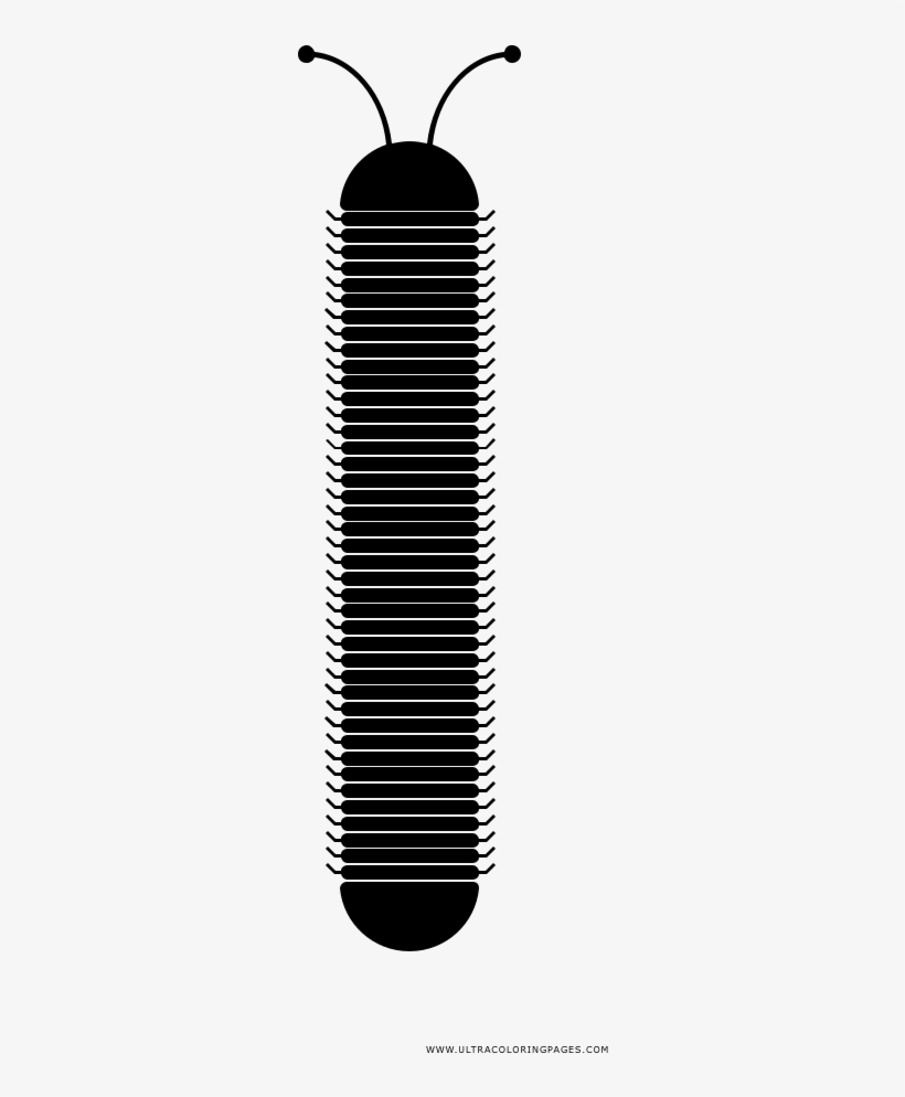 Centipede Coloring Page - Drawing, transparent png