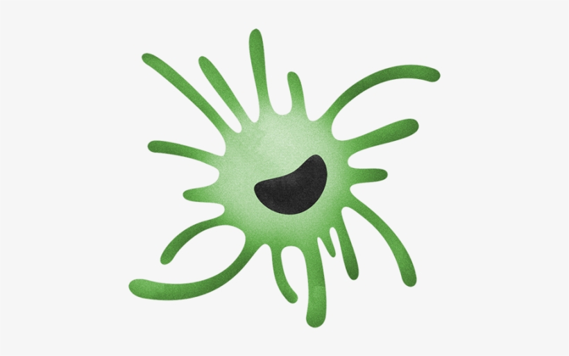 Phagocytic Antigen-presenting Cells With An Important - Illustration, transparent png