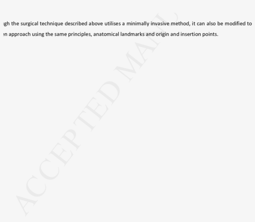Skin Closure With Staples Depicting Origin And Insertion - Paper, transparent png