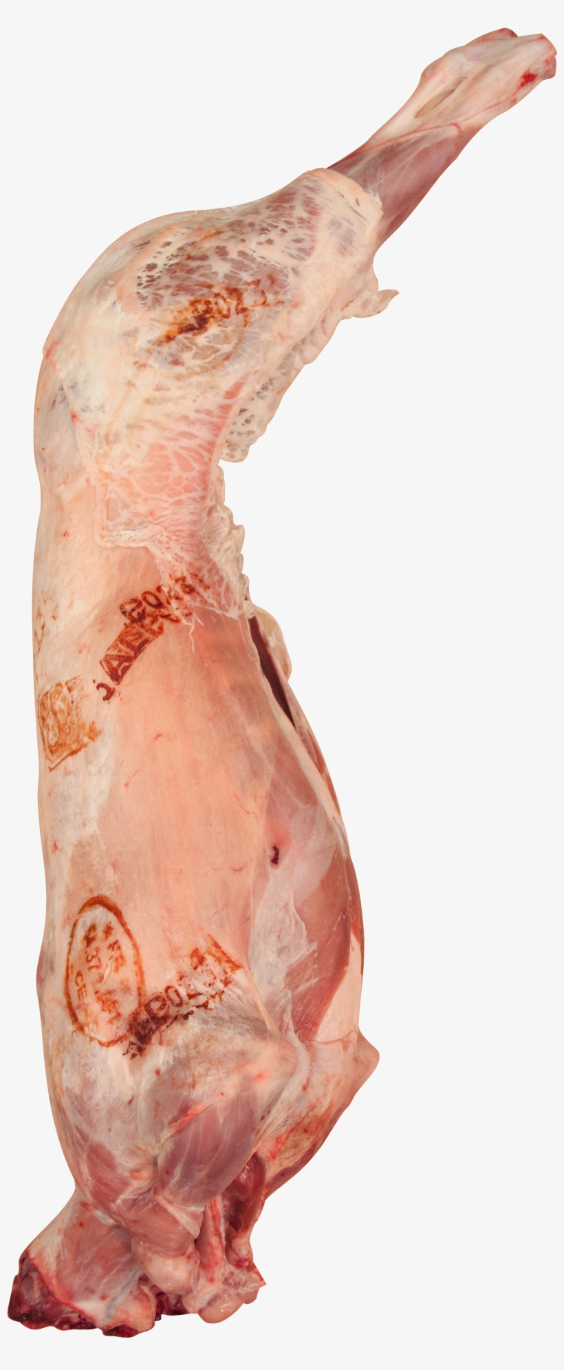 Buy Whole Pyrenees Lamb Online In London Uk, transparent png
