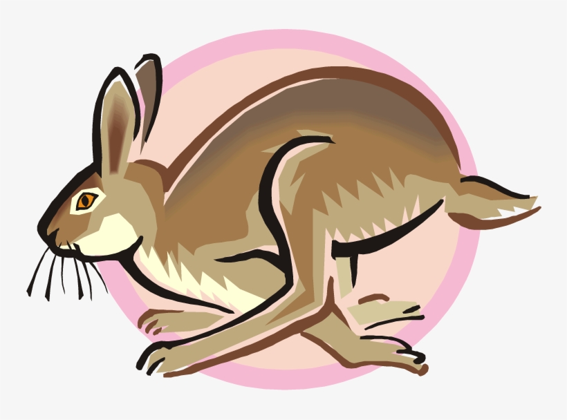 Free Jack - Jack Rabbit Clip Art, transparent png