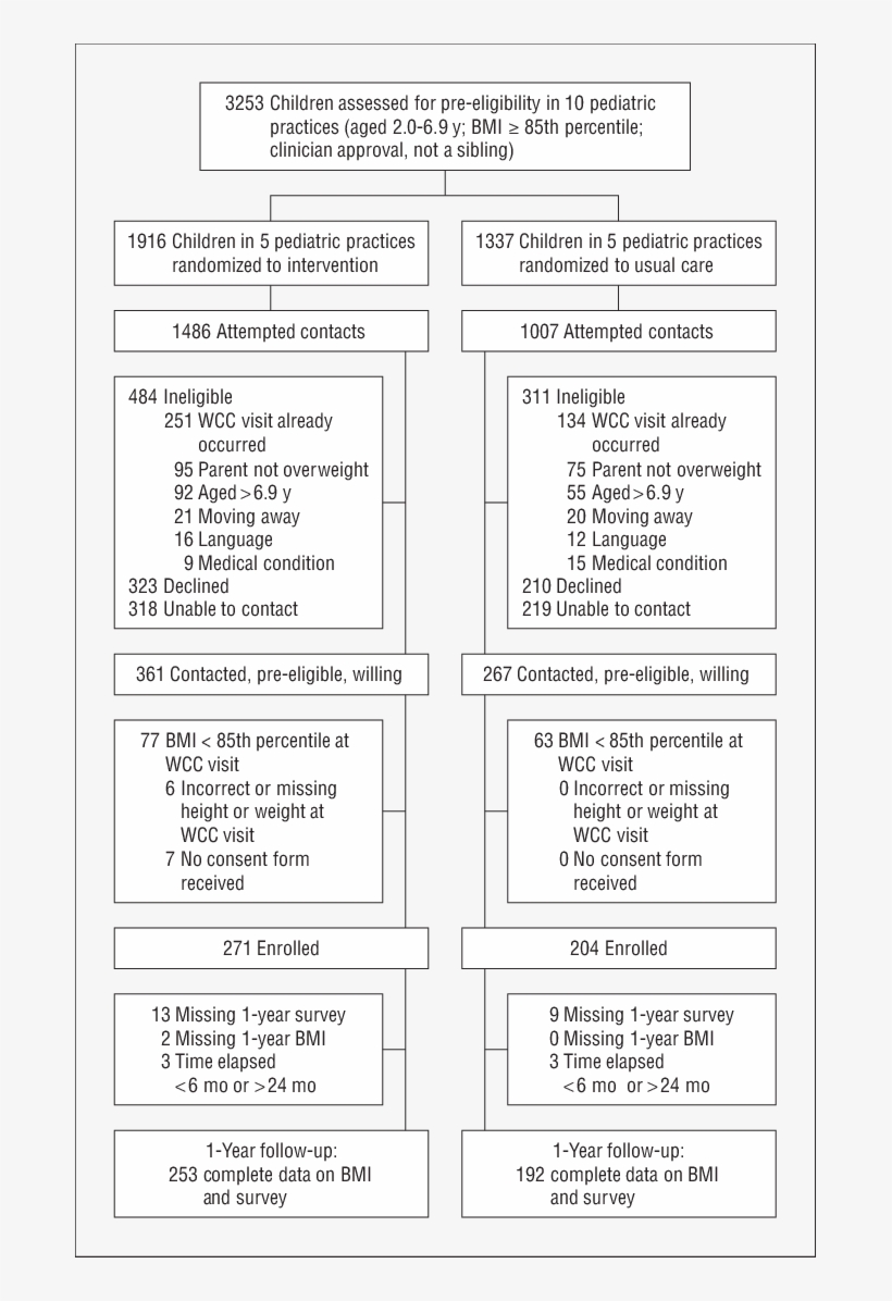 Participant Flow For The High Five For Kids Study - Body Mass Index, transparent png