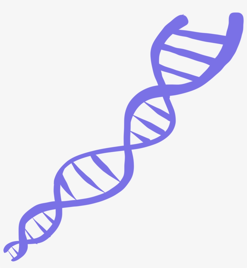 Lazy Dog Pictures - Dog, transparent png