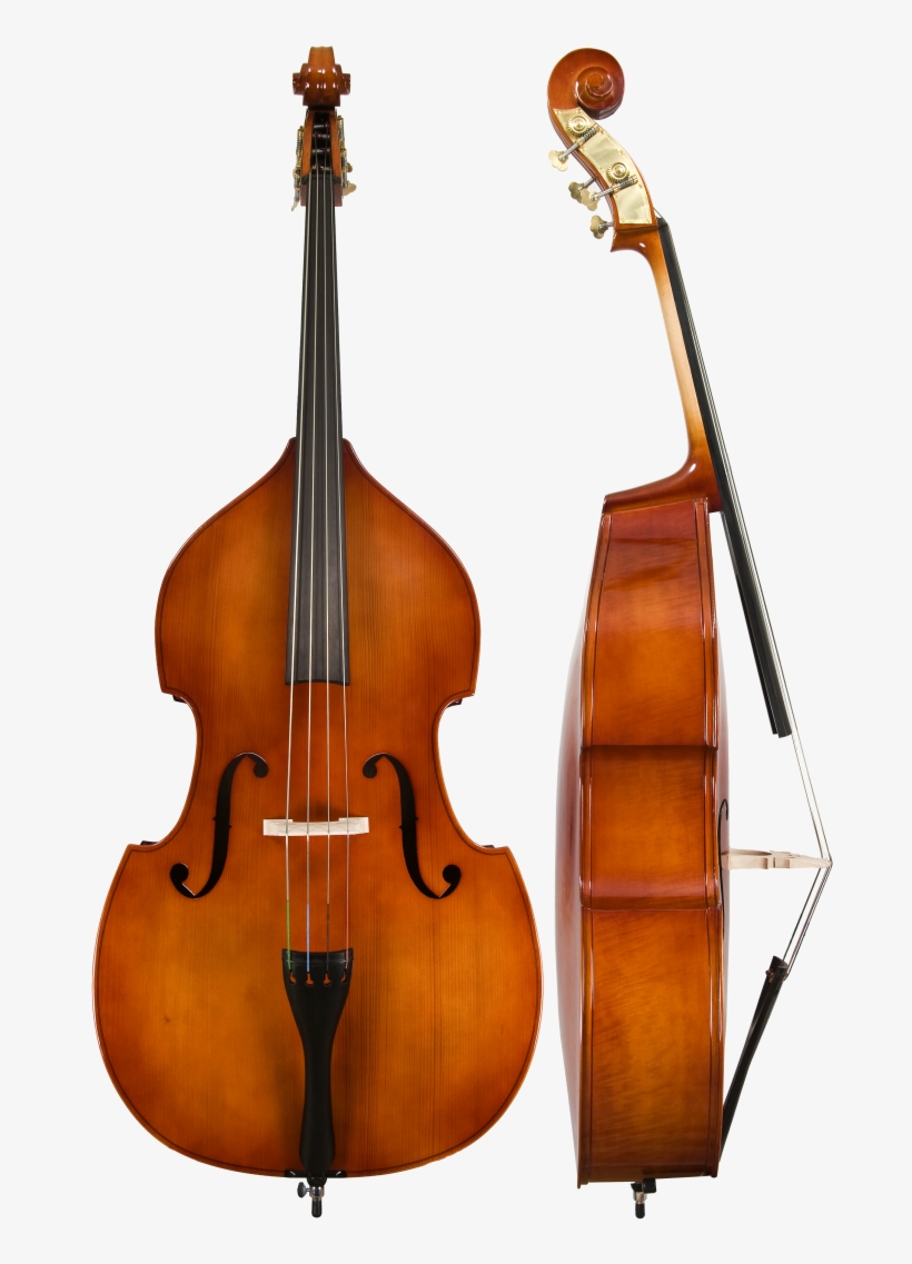 Model 80 Bass - Double Bass Instrument, transparent png