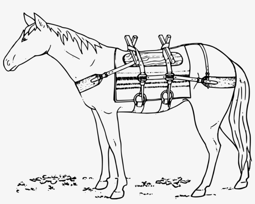 Mule Bridle Mustang Donkey Pack Saddle - Horse, transparent png
