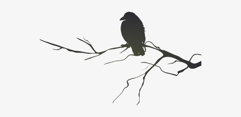Crow Clipart Branch Silhouette - Raven On A Branch Silhouette, transparent png