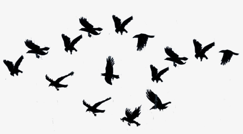 The Awesome Power Of Nature, transparent png