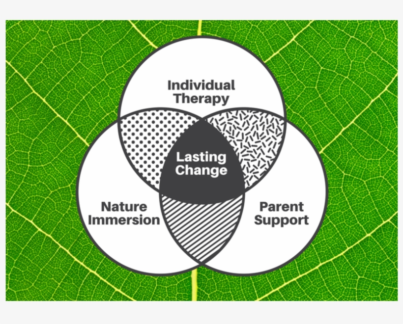 Venn Diagram Integrative Therapy 1 - Retro Schwarzweiss-kapselmuster Visitenkarte, transparent png