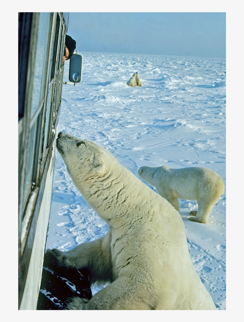 Churchill, Canada - Churchill, transparent png