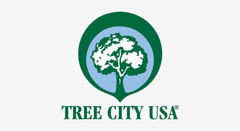 Tree City Usa, transparent png