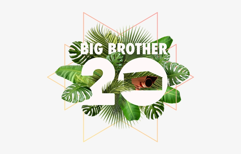 Big Brother - Big Brother Season 20 Episode 1, transparent png