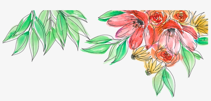 Botanical Line Drawing, transparent png
