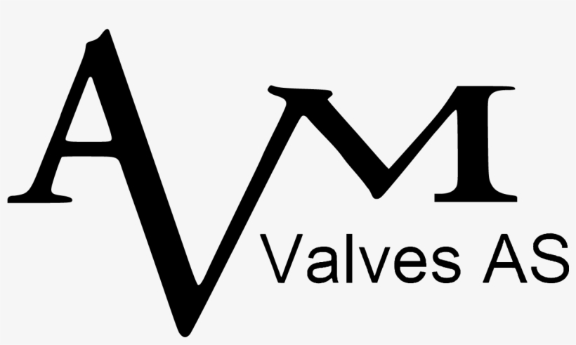 Avm Maxicheck Tilting Disc Check Valve - One Family One Love, transparent png