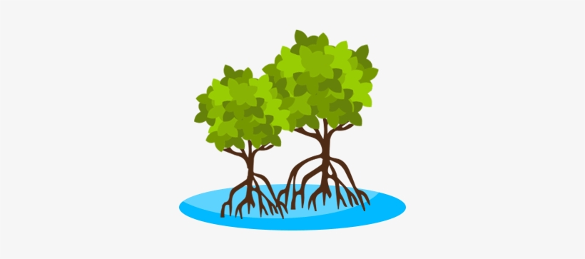 Tree - Nature Reserve Clipart, transparent png