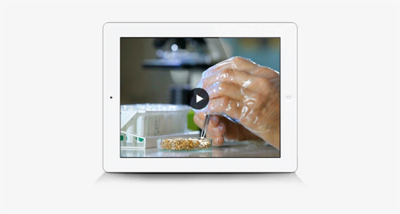 Diamond Flour Mill C - Flat Panel Display, transparent png