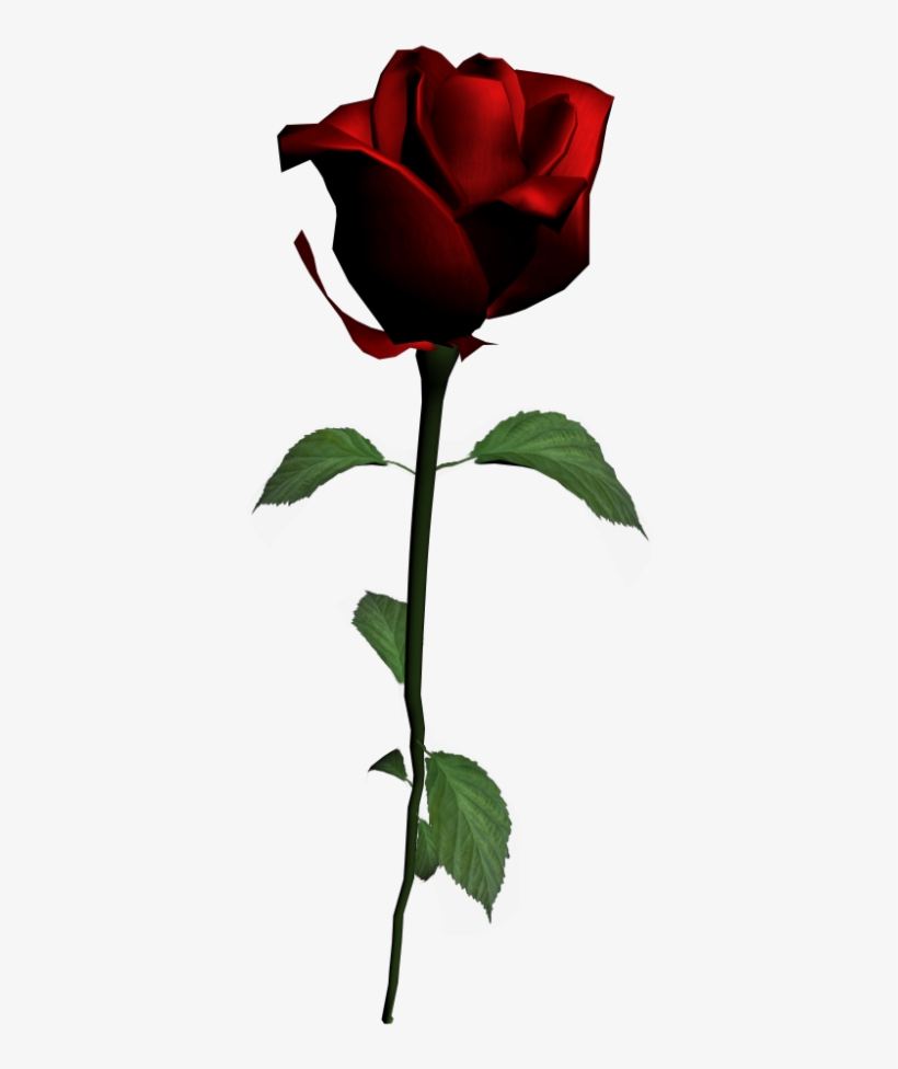 Rose - Floribunda, transparent png