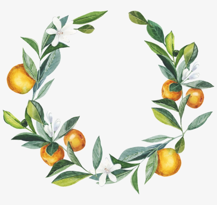 Фото, Автор ✿lili@ ✿ На Яндекс - Orange, transparent png