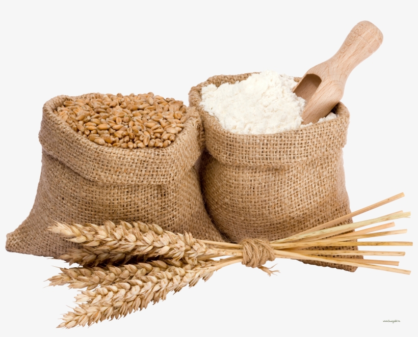 Wheat Png, transparent png