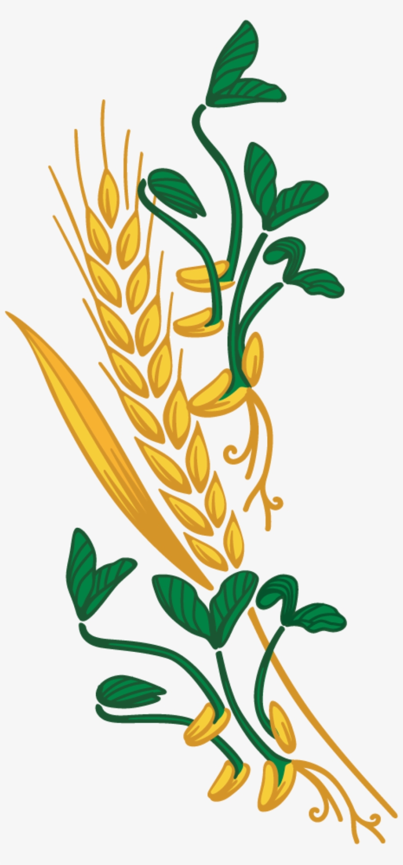 Wheat Clipart Png Download - Whole Grain, transparent png
