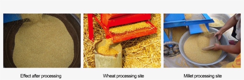 Grain Thresher - Grain, transparent png
