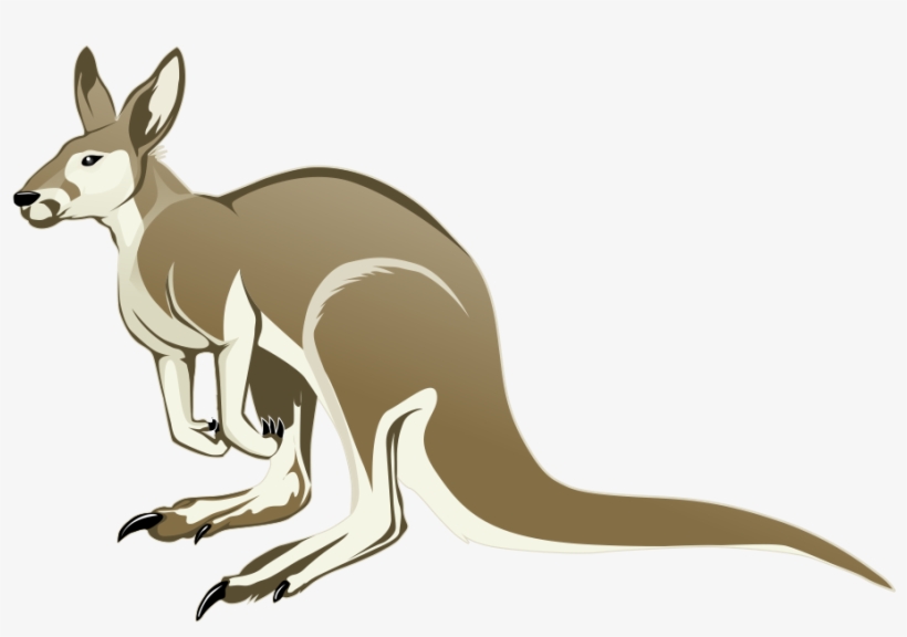 Kangaroo Png Transparent Image - Clipart Kangaroos, transparent png
