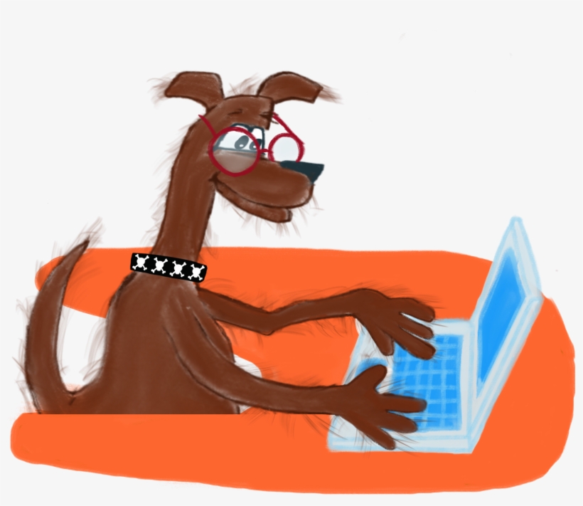 Png Freeuse Download Dooley Bear Book Adventures Belize, transparent png