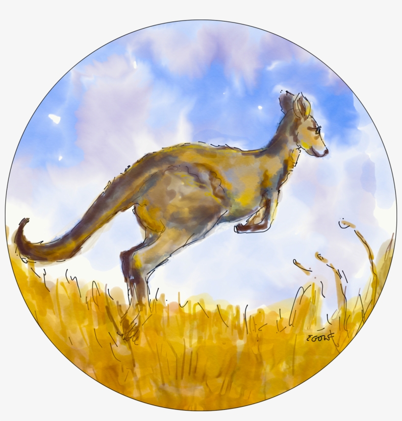 Thank You - Kangaroo, transparent png
