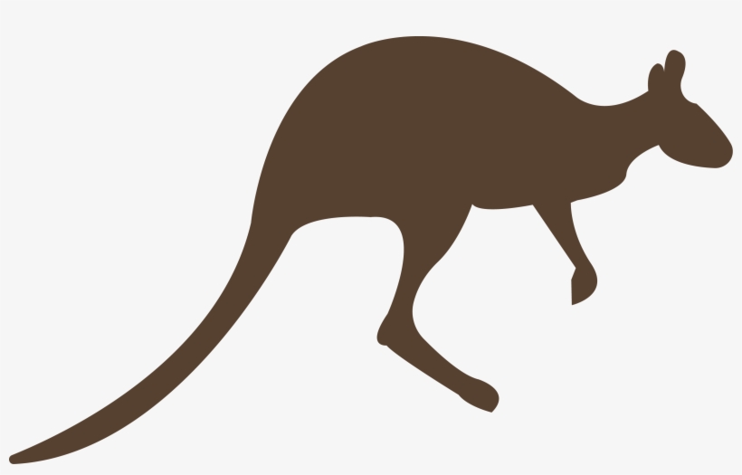 Kangaroo Png And Psd Free Download - Kangaroo, transparent png