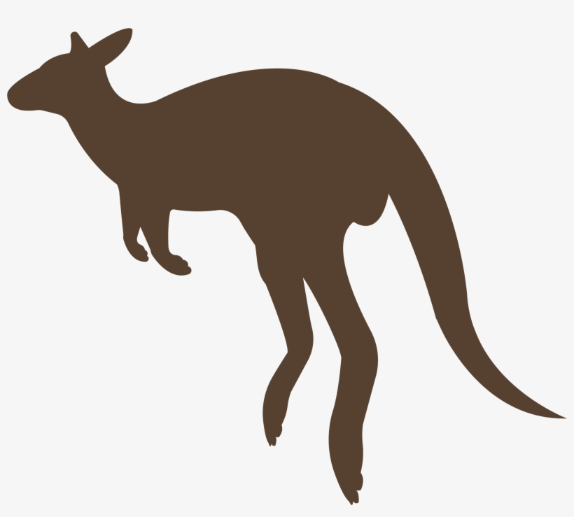 Sour Kangaroo Chasing The Whos Audition - Kangaroo Zoo, transparent png