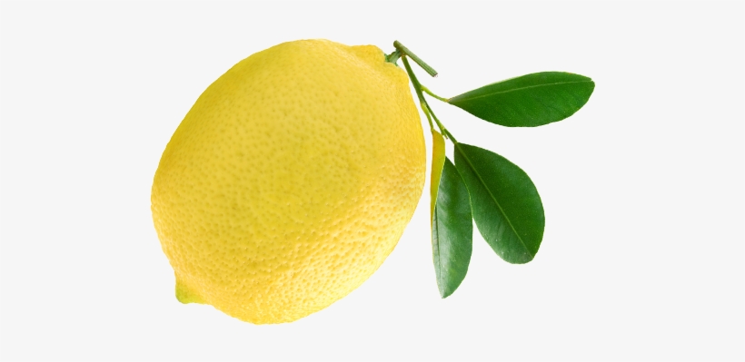 Other Fresh Scents Lemon - Vivere A Lungo Con L'aiuto Degli Agrumi - Haineault, transparent png