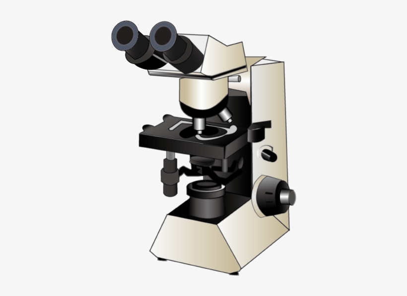 201603 Upright Microscope - Mictoscope Png, transparent png