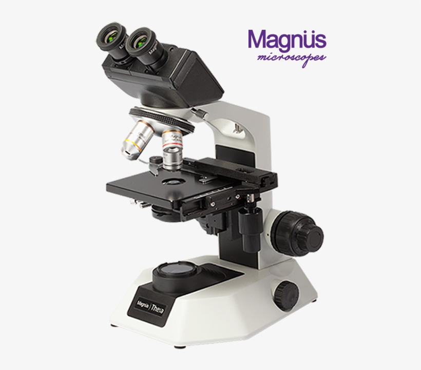 Magnus Analytics, transparent png
