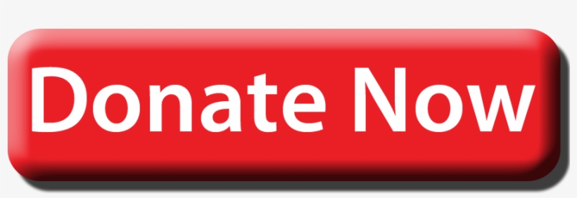 Wayzata Community Church Donatebutton - Donate Now Button .png, transparent png