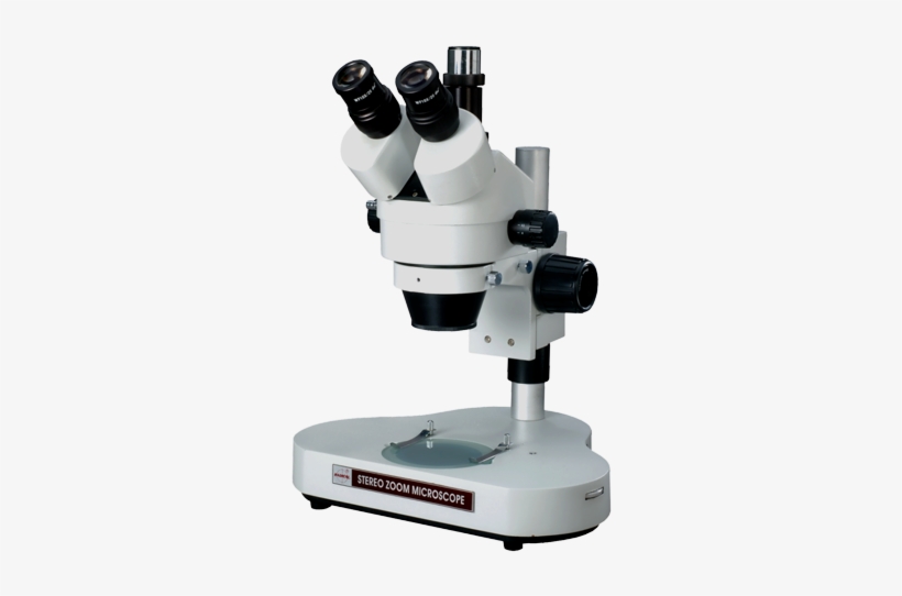 Trinocular Stereo Zoom Microscope ميكروسكوپ 308x500 PNG Download