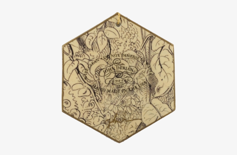 Insect - Motif, transparent png