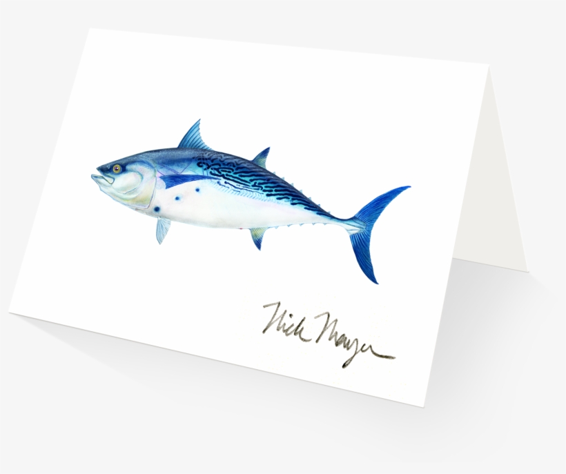 Albie V=1524851219 - Little Tunny, transparent png