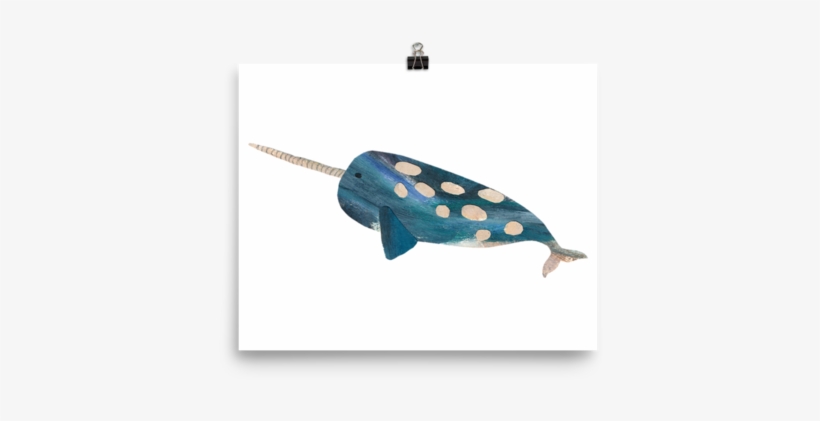 Narwhal, transparent png