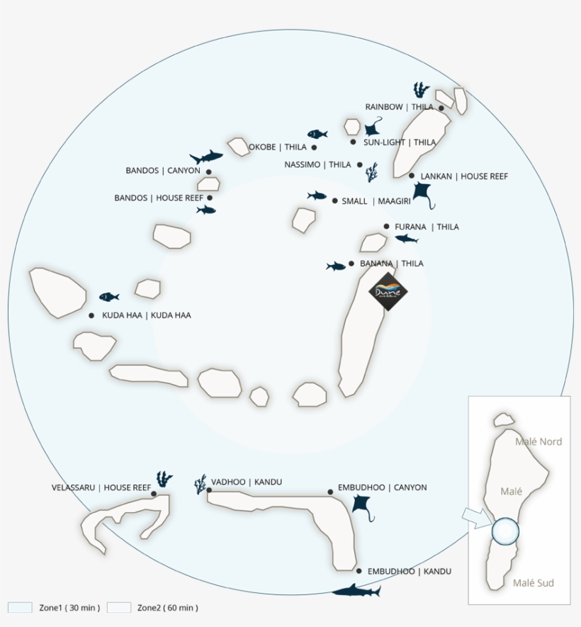 Diving - Maldives, transparent png