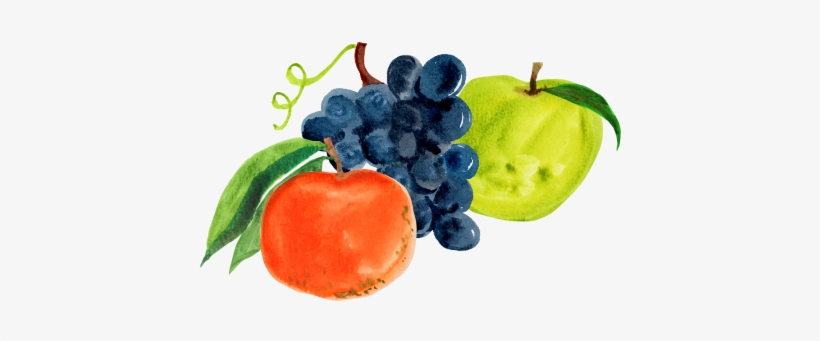 Facebook - Garden Journal: Growing Grapes Gardening Journal, Lined, transparent png