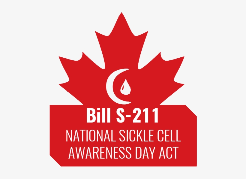 Bill S-211, An Act Respecting National Sickle Cell - Feuille D Érable Rouge, transparent png