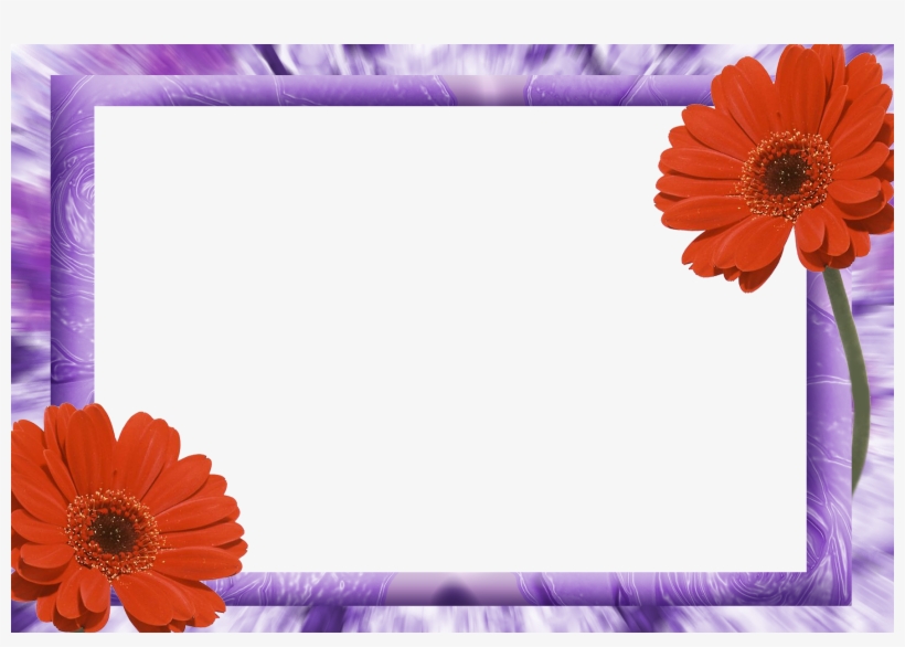 Molduras Png Dia Das Mães - Moldura De Dia Das Mulheres, transparent png