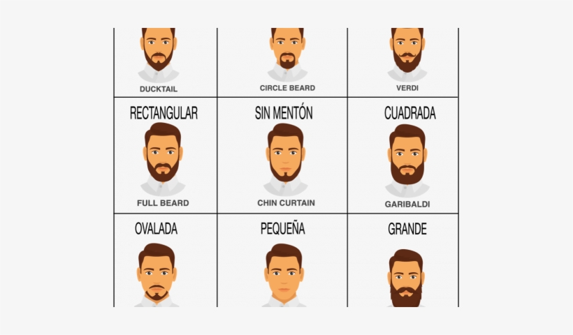 Descubre Tu Barba - Barba Bigote, transparent png
