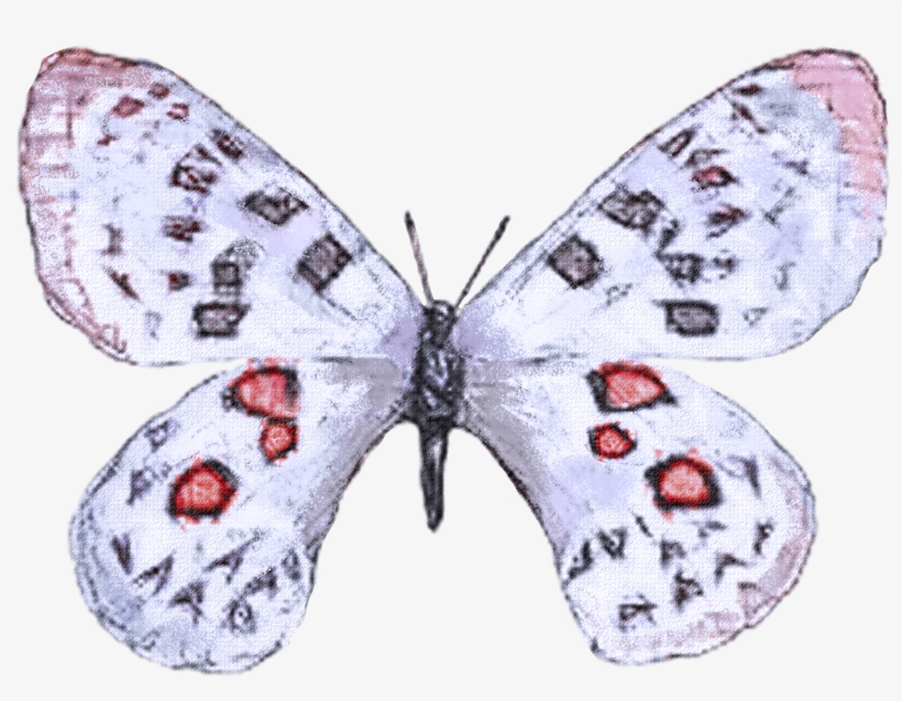 H833 - Watercolor Painting, transparent png